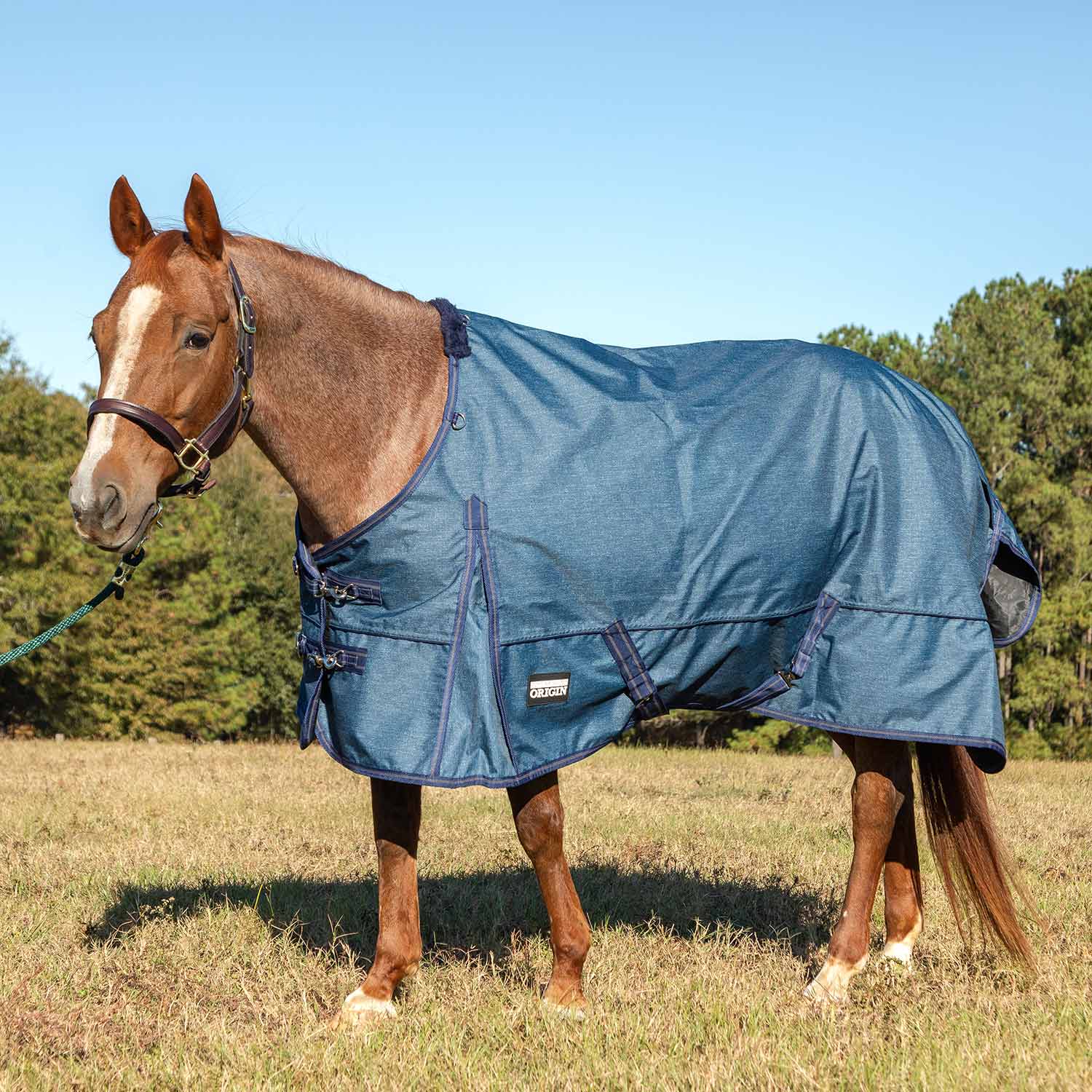 Jeffers Poplar Head "Origin" 600D Medium Weight Turnout Blanket, 240g | Waterproof & Breathable Horse Blanket