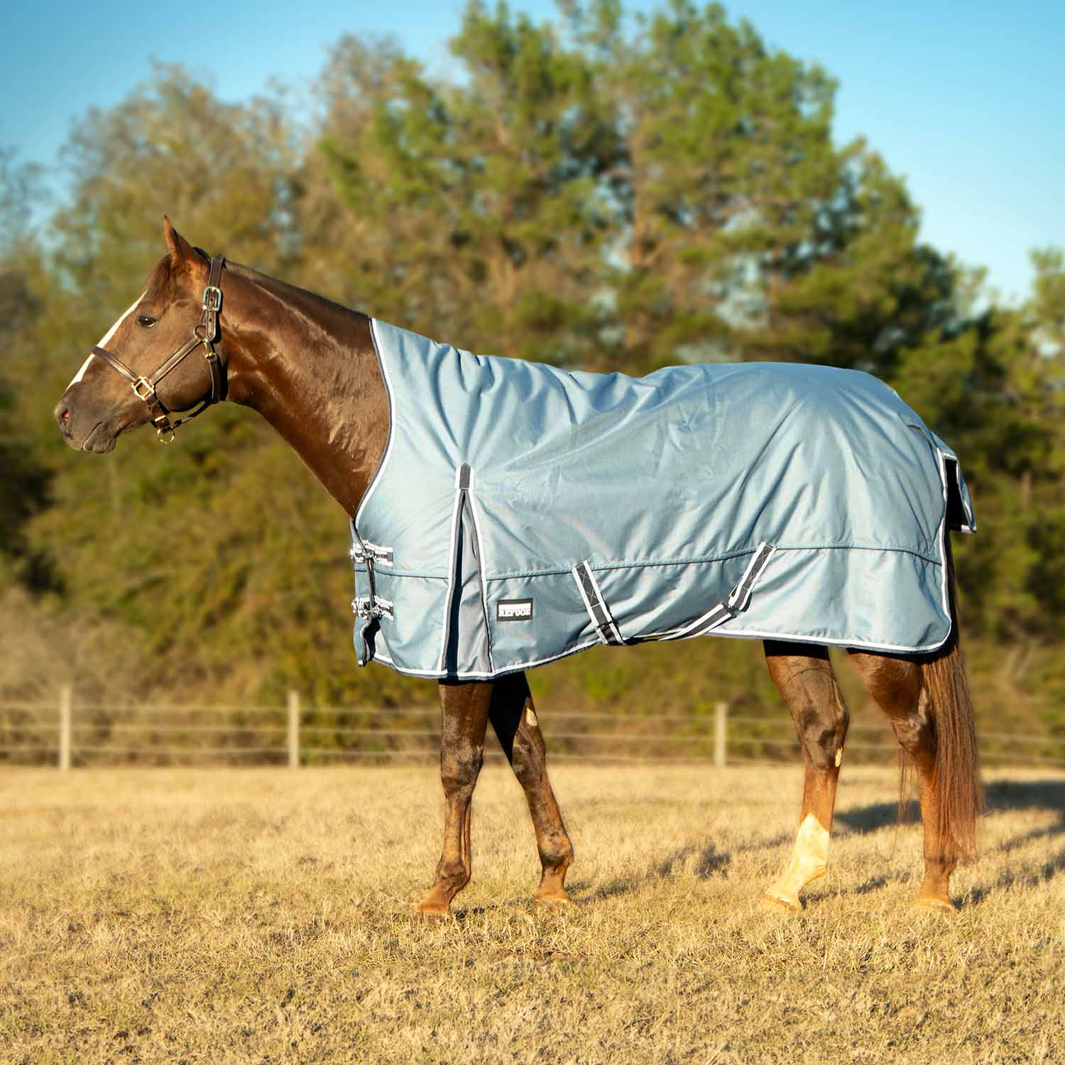 Jeffers Poplar Head "Refuge" 1200 Denier Turnout Blanket with High Neck, 240 Gram, Hamilton Blue