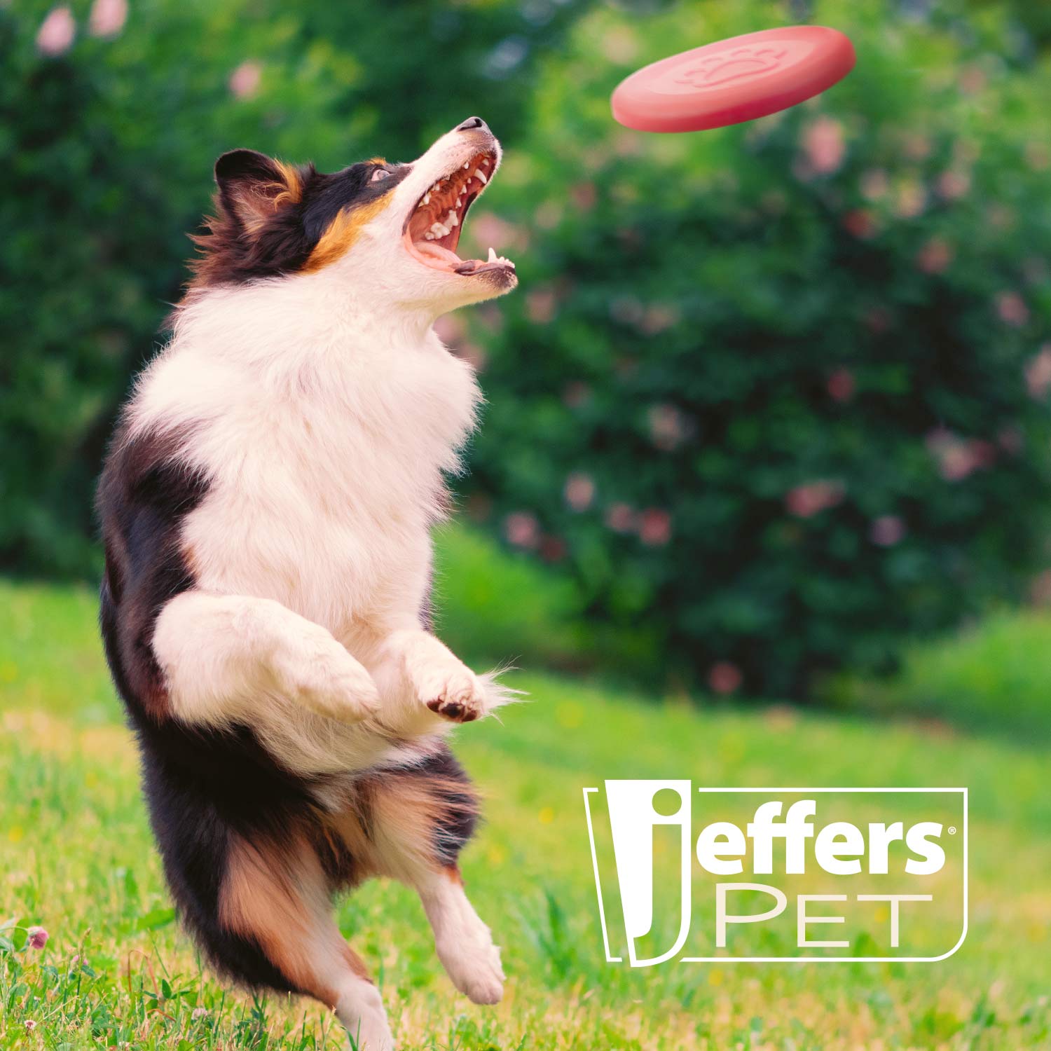 Jeffers Red Paw Frisbee Natural Rubber Dog Toy for Fetching & Chewing