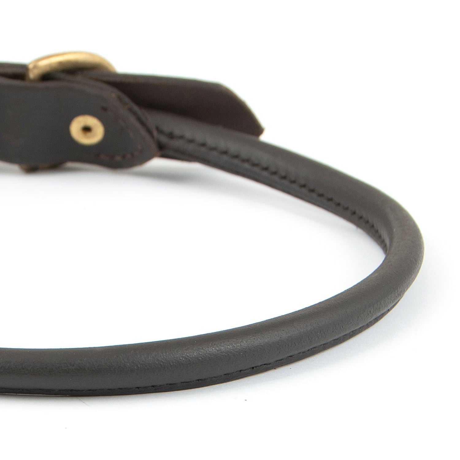 Jeffers Rolled Leather Dog Collars with Brass Hardware