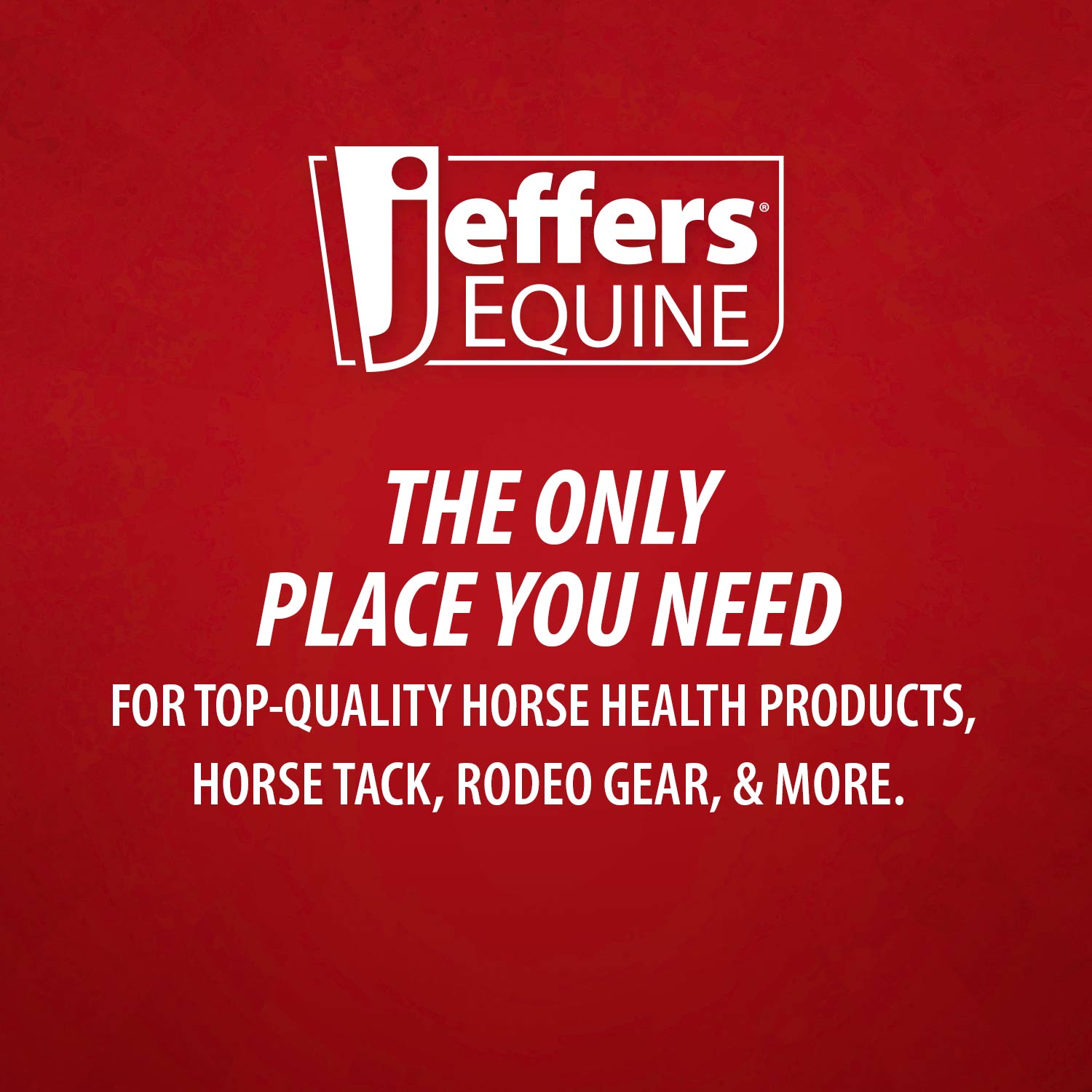 Jeffers Equine No-Rinse Waterless Horse Shampoo Spray