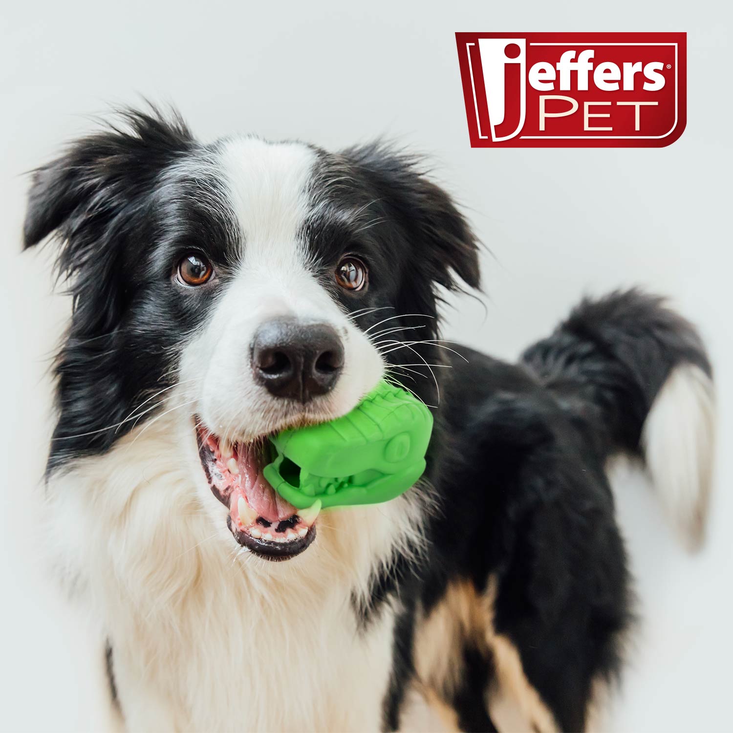Jeffers T-Rex Natural Rubber Treat Dispensing Dental Dog Chew Toy for Medium Chewers with Vanilla Scent