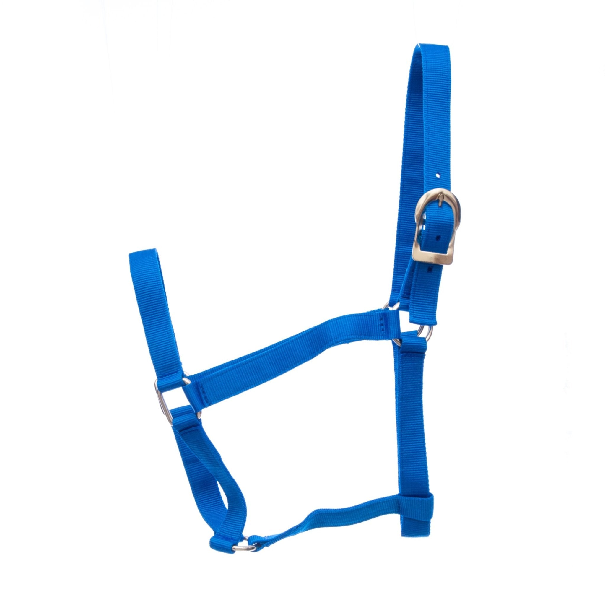 Jeffers Turnout Nylon Horse Halters, 2-Ply, 1