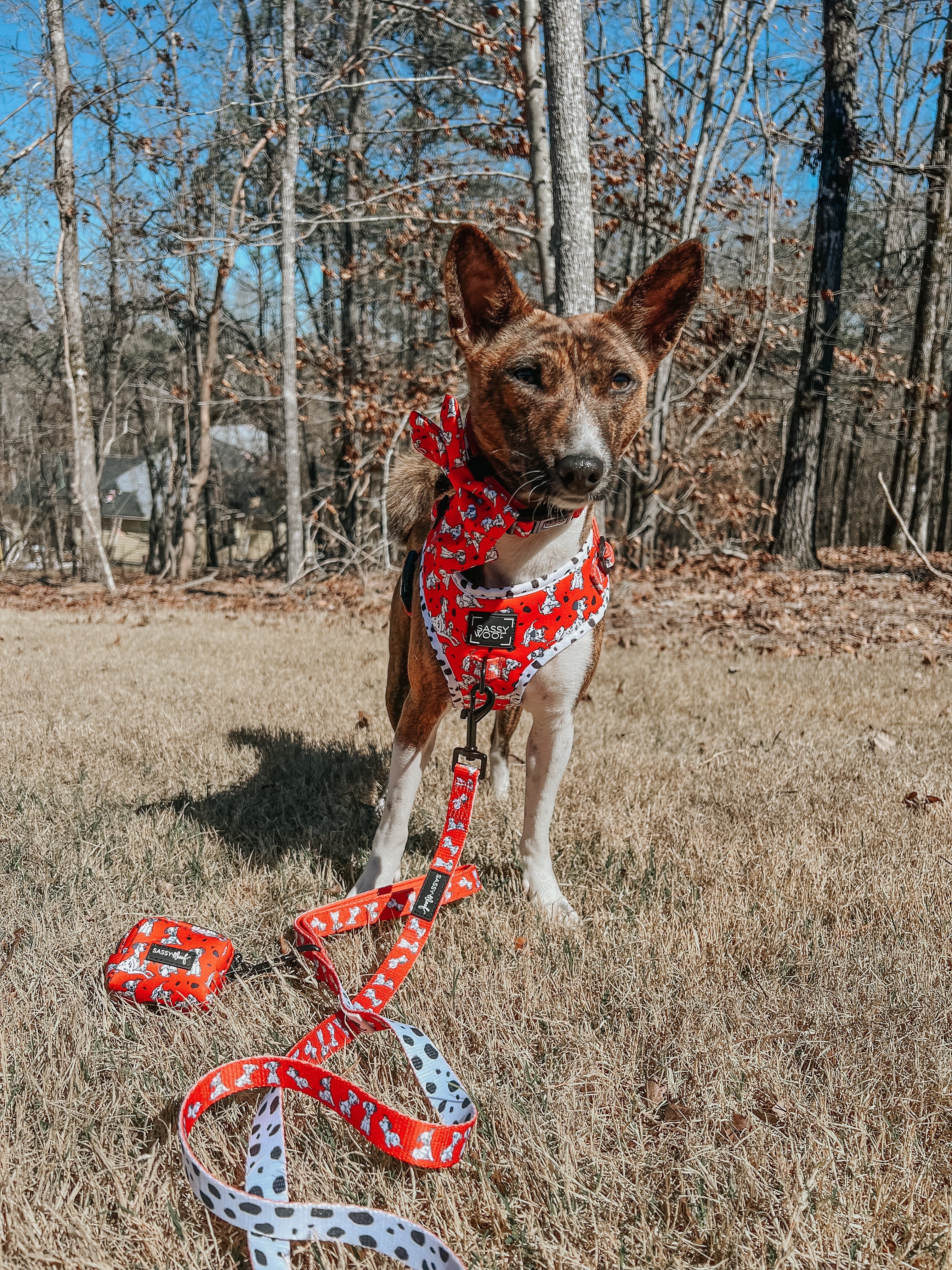 Dog Leash - Disney's 101 Dalmatians