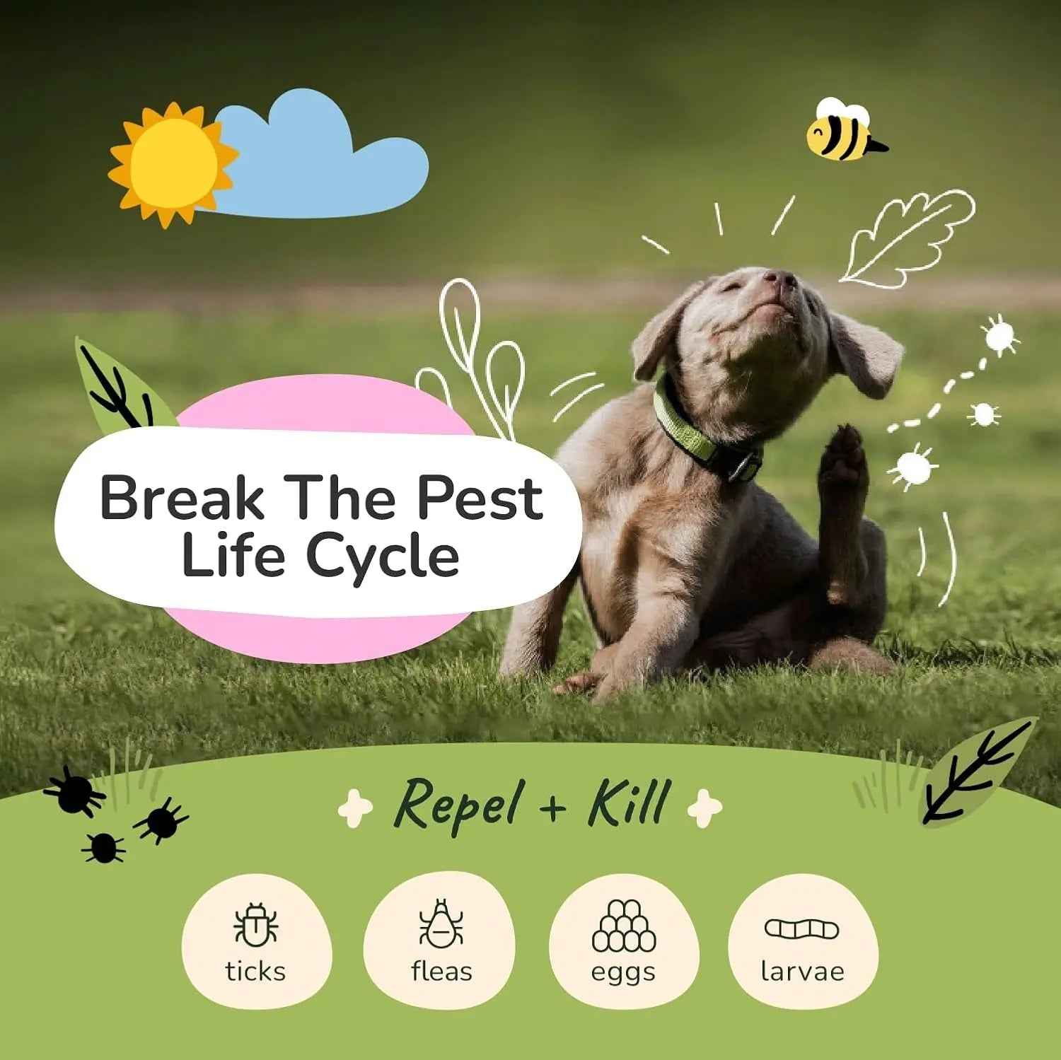 kin+kind Flea & Tick Shampoo & Spray Kit for Dogs & Cats – Plant-Based