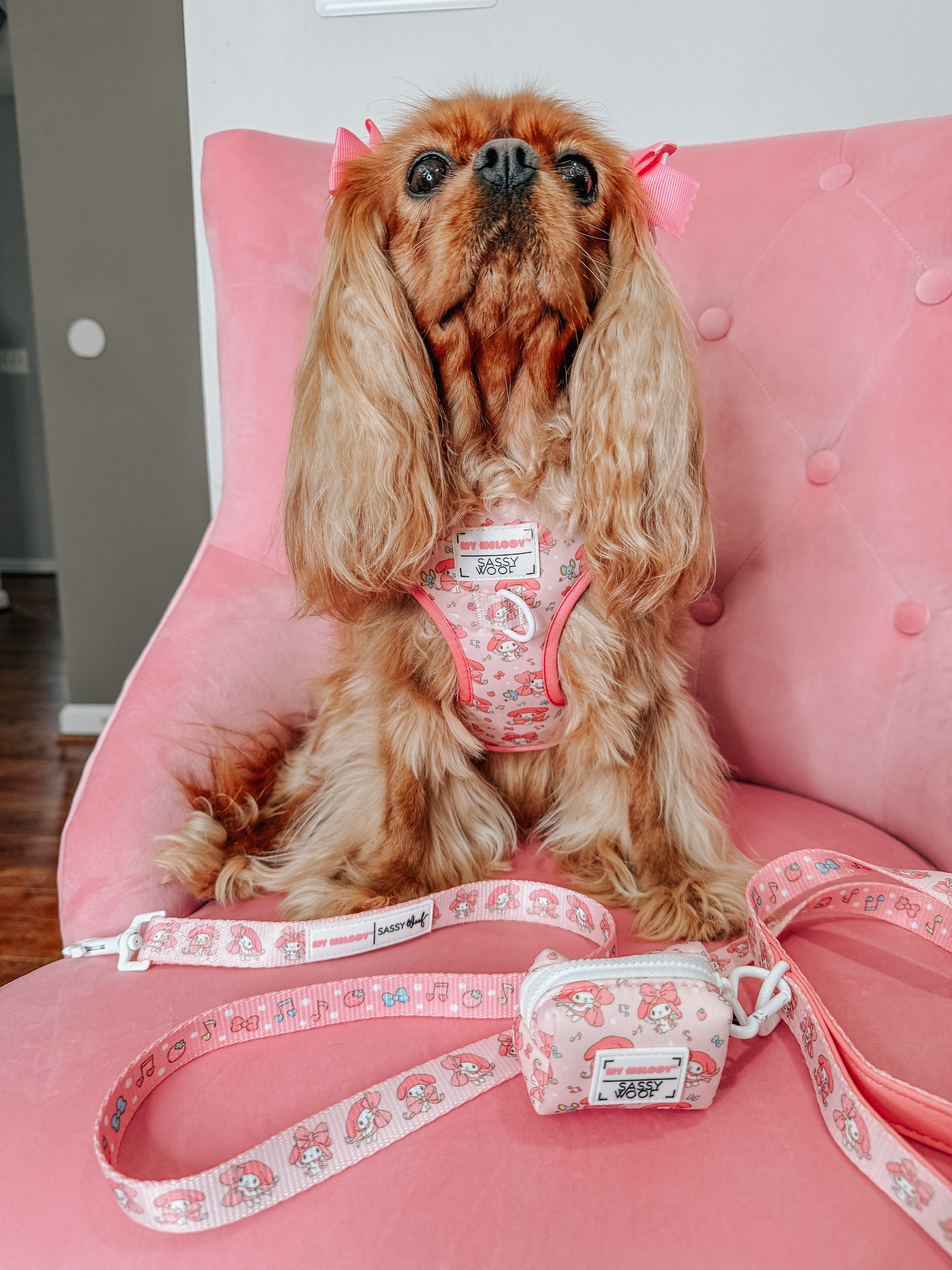 Dog Leash - My Melody™