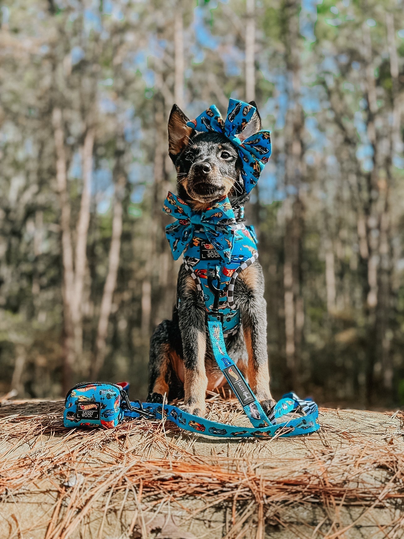 Dog Leash - Hot Wheels™