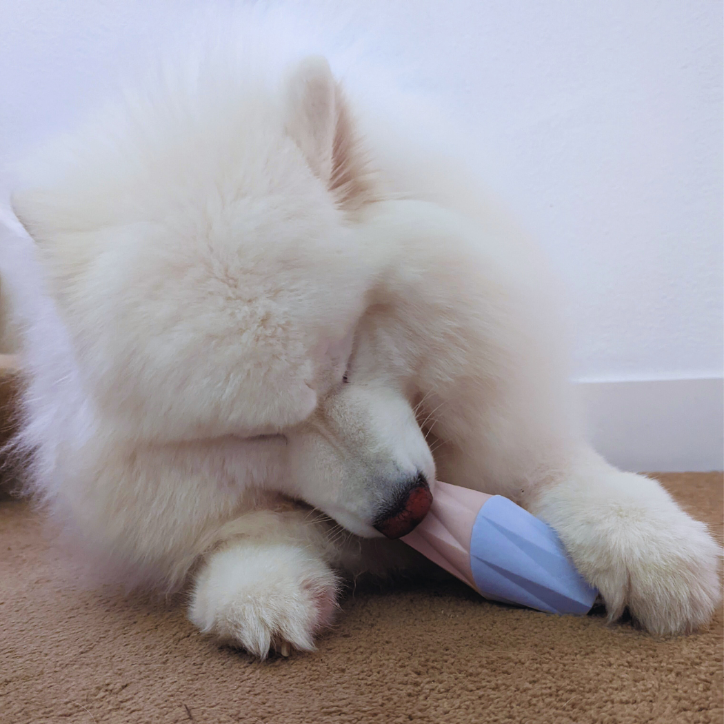 The Ubbe Modern Dog Licking Toy