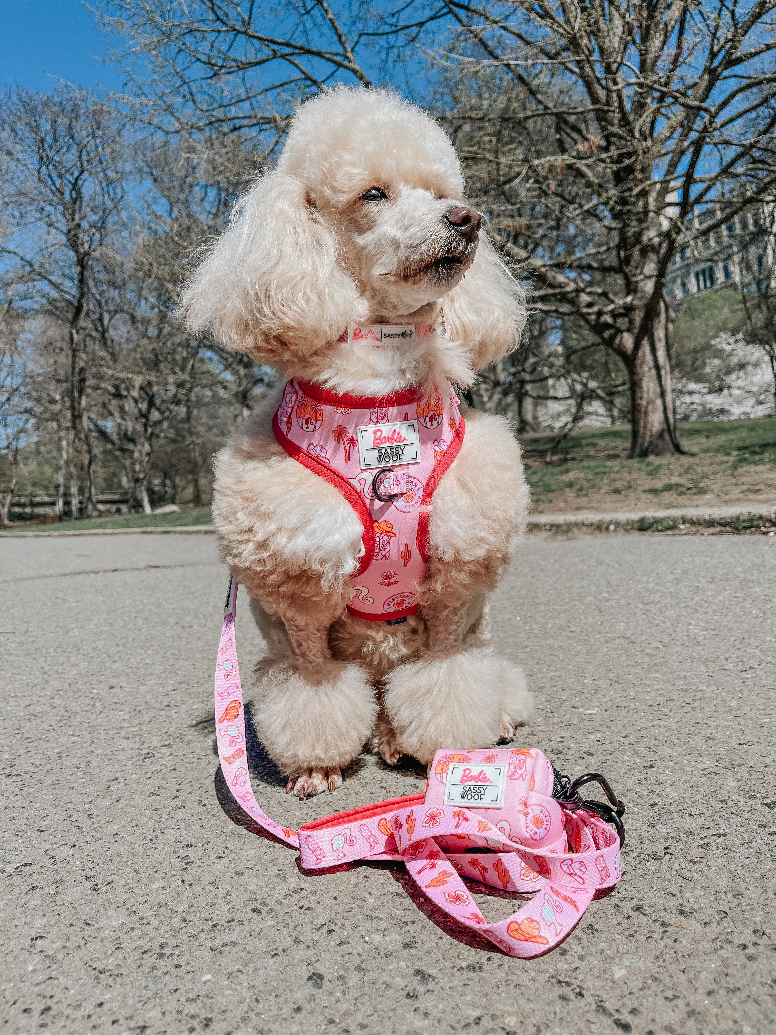 Dog Leash - Western Barbie™