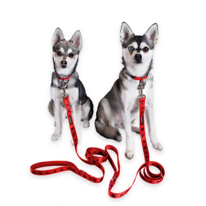 EcoBark Cherry Red Dog Leash- Padded Comfort Grip Leash with Dog Pattern - 4 ft, 5 ft, and 6 ft Leash for Small and Medium Dogs