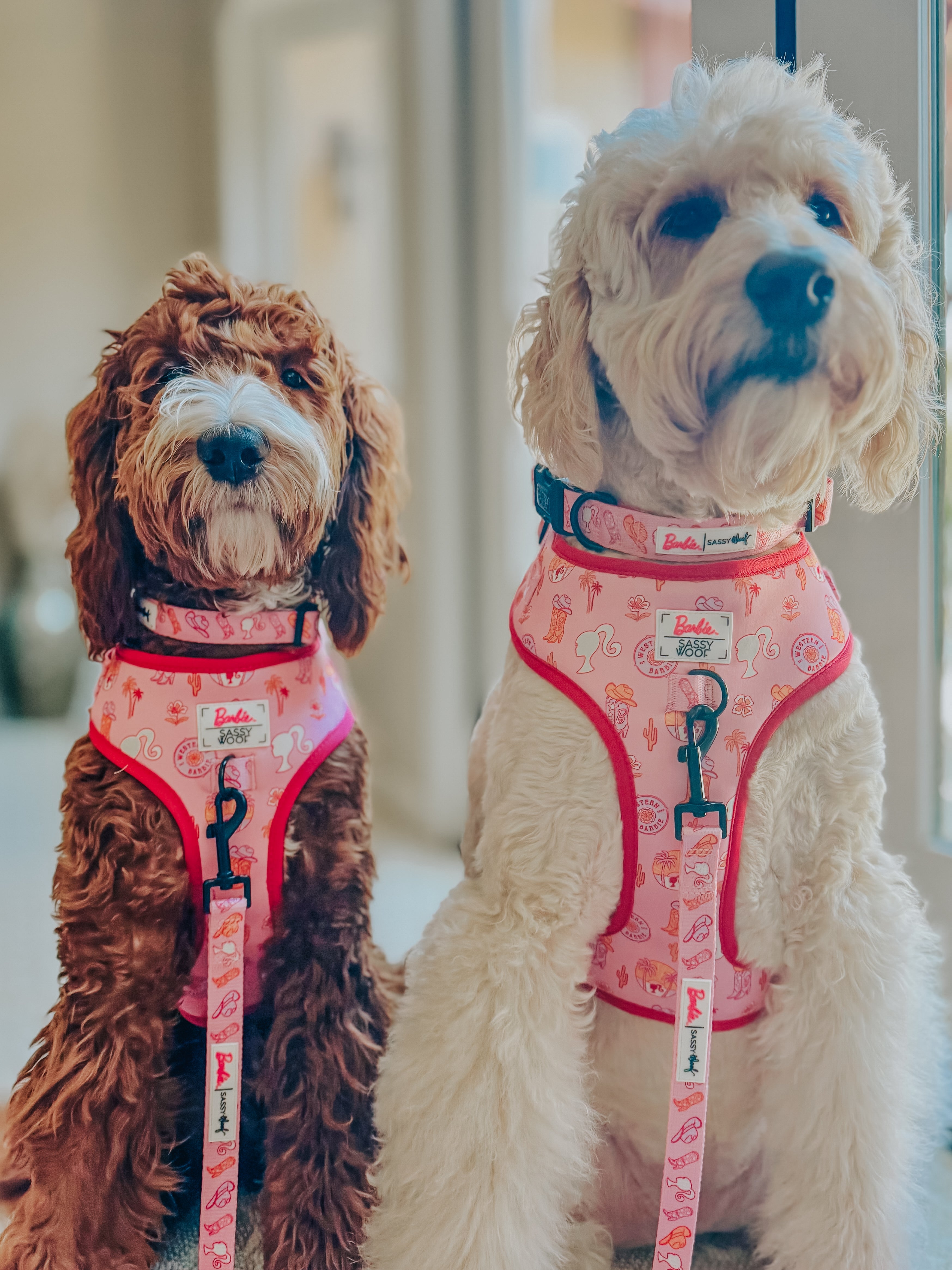 Dog Leash - Western Barbie™
