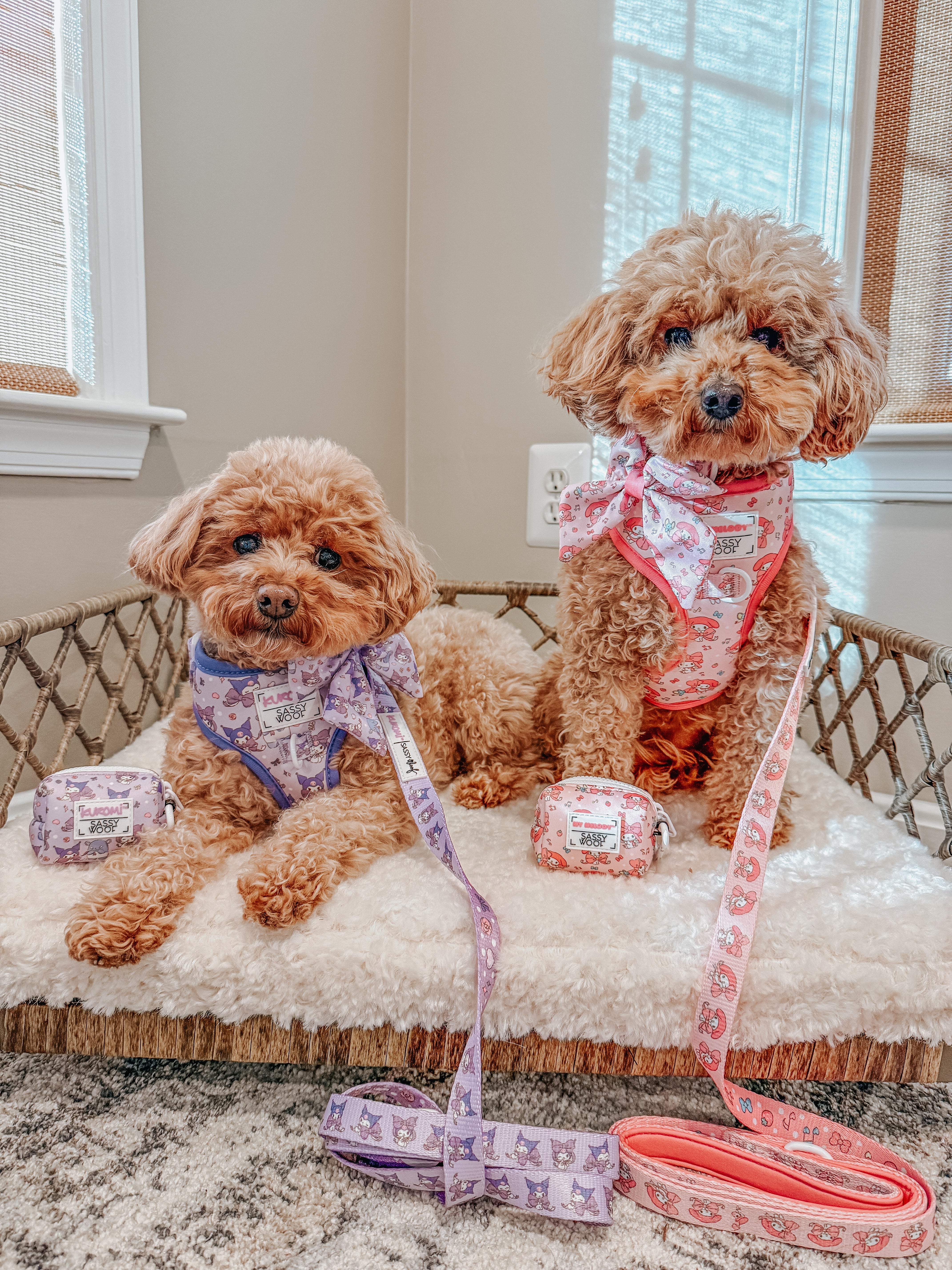 Dog Leash - My Melody™
