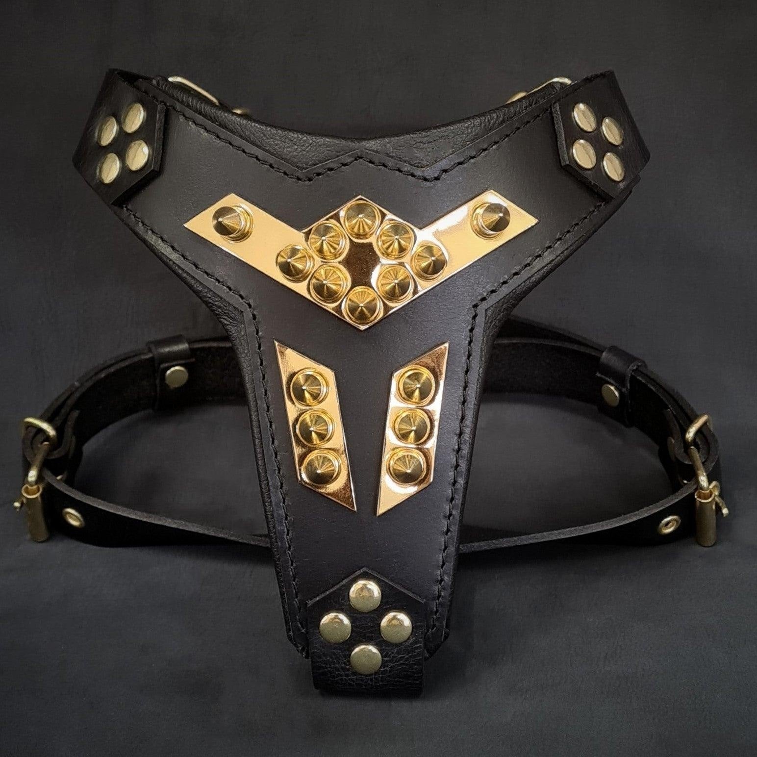 The ''Midas'' leather dog harness gold