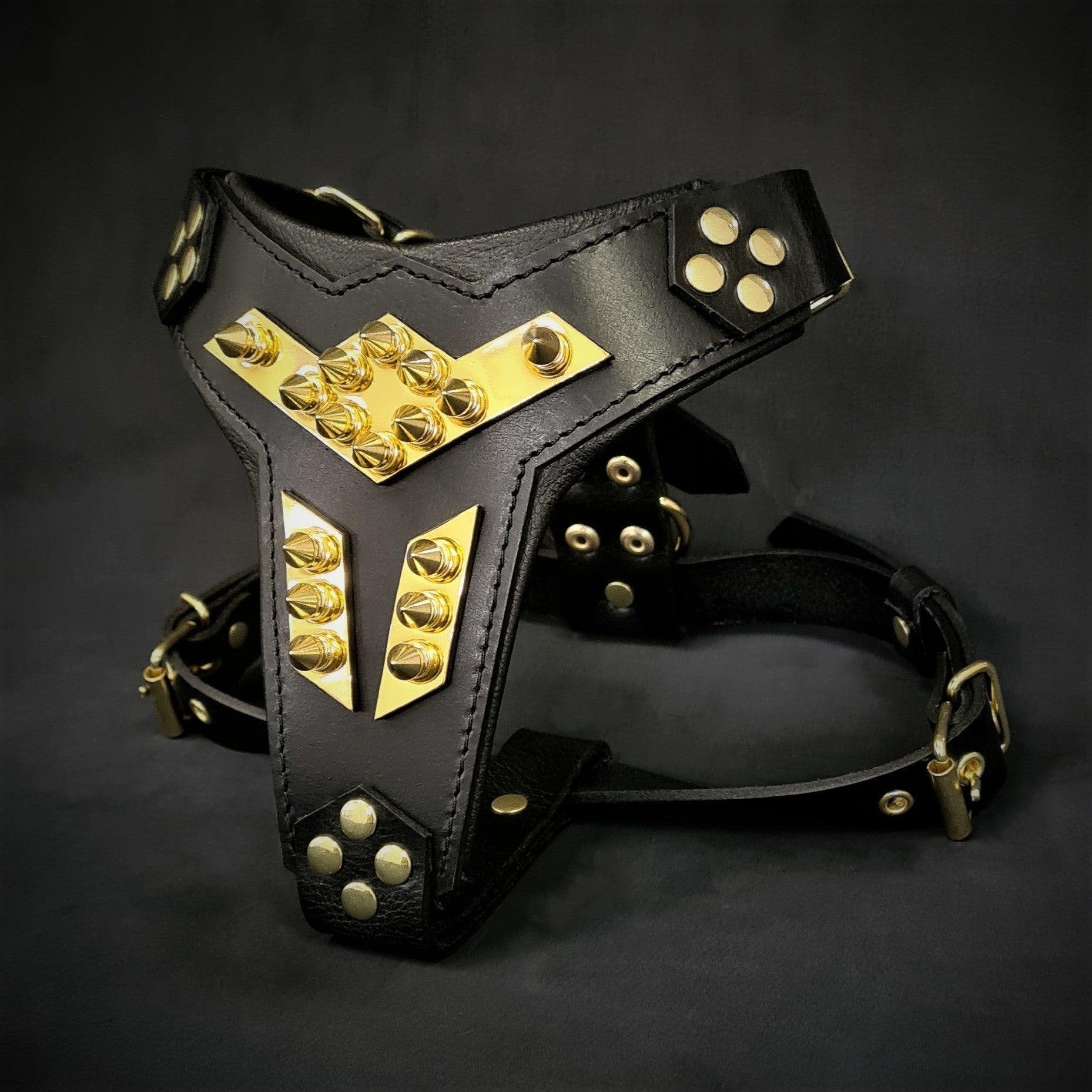 The ''Midas'' leather dog harness gold