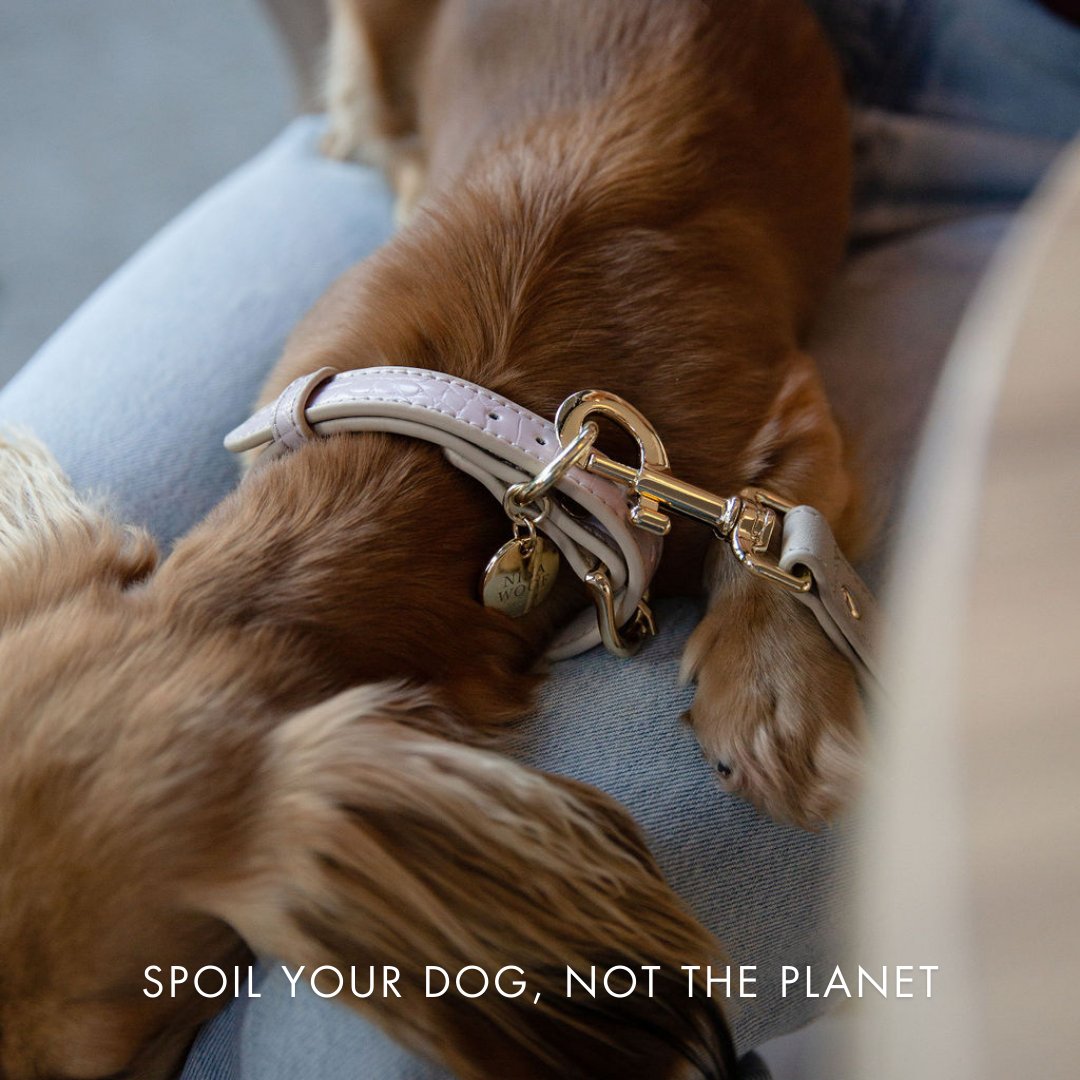 Leash 4ft - Vegan Leather - Milan