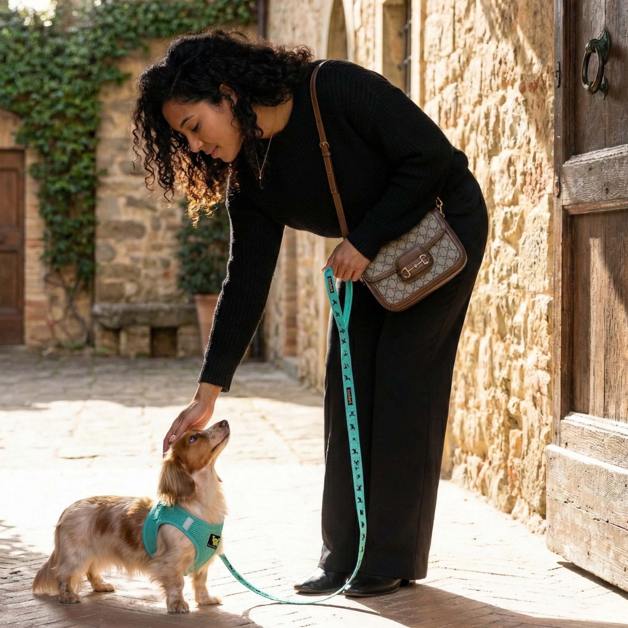 EcoBark Mint Turquoise Dog Leash - Comfort Grip Padded Leash - 4ft, 5ft, and 6ft Dog Leash for Small and Medium Dogs