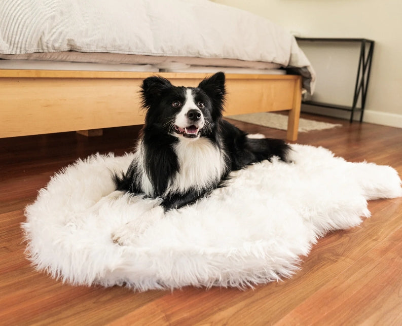 Puprug Orthopedic Dog Bed For Large Dogs With Fluffy Soft Faux Fur And Memory Foam For Joint Pain Relief, Machine Washable And Waterproof Couch Bed, Polar White, Large/Extra Large