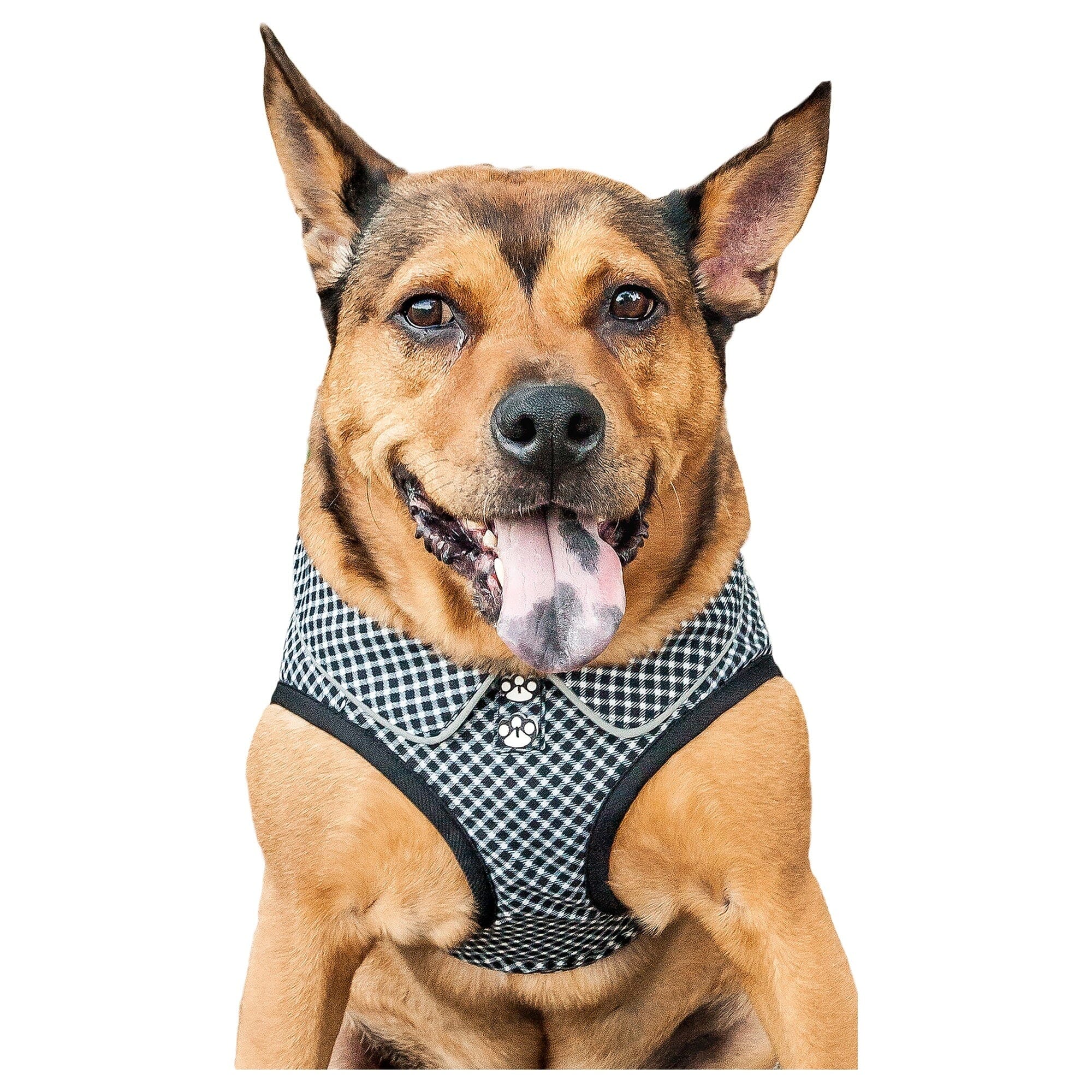 Pet Life ® Checkerwag Checkered Mesh Reversed and Adjustable Fashion Dog Harness