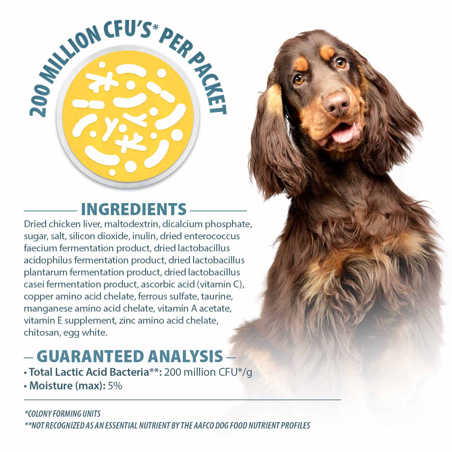 Pet's Choice Gut Instincts Probiotic Powder Packets for Dogs  Daily Digestive & Immune Support, 30 Count