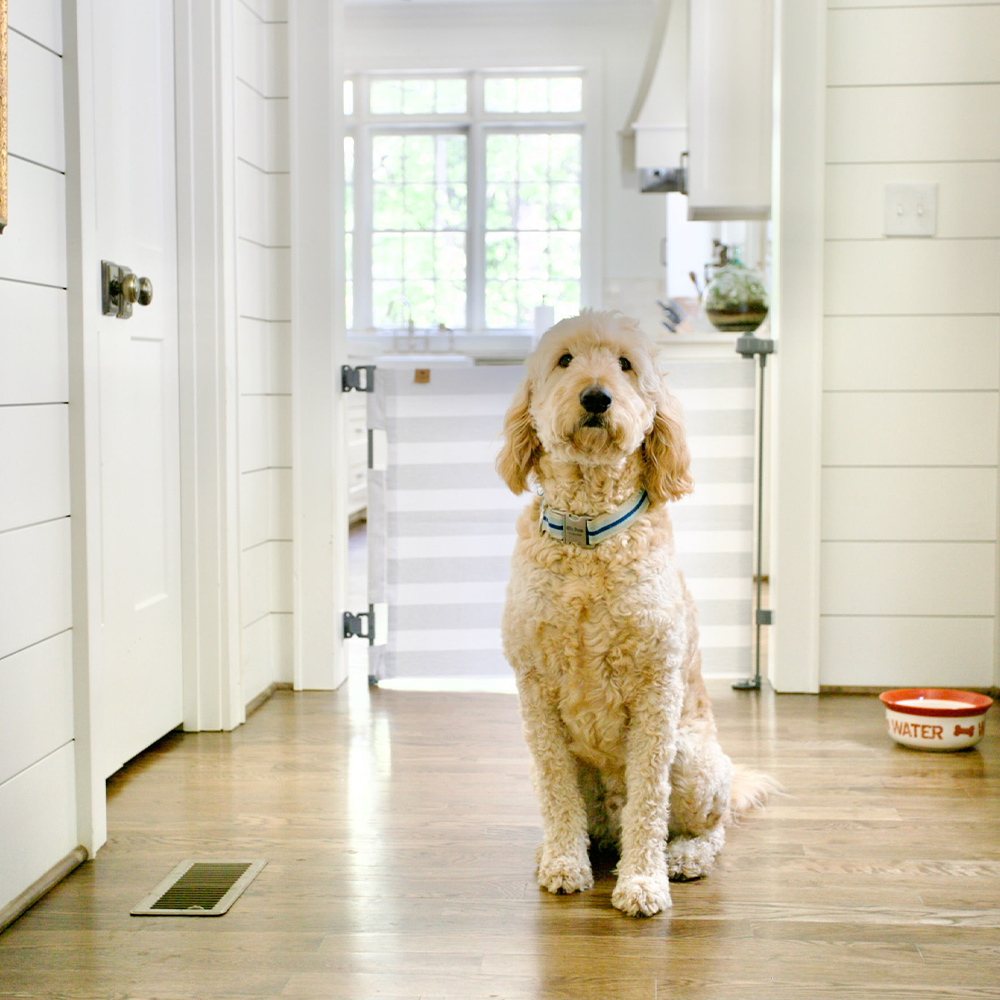 Crypton® Fabric Baby & Pet Safety Gate  Stylish, Stain-Resistant, PFAS-Free