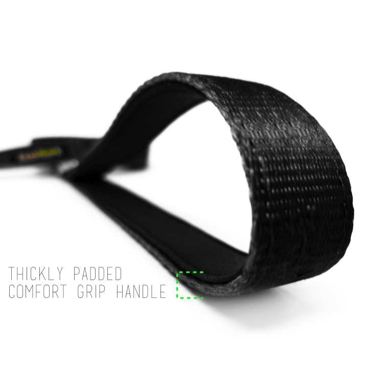 Black Dog Leash- EcoBark- Comfort Grip Padded Leash 5ft for Small and Medium Dogs