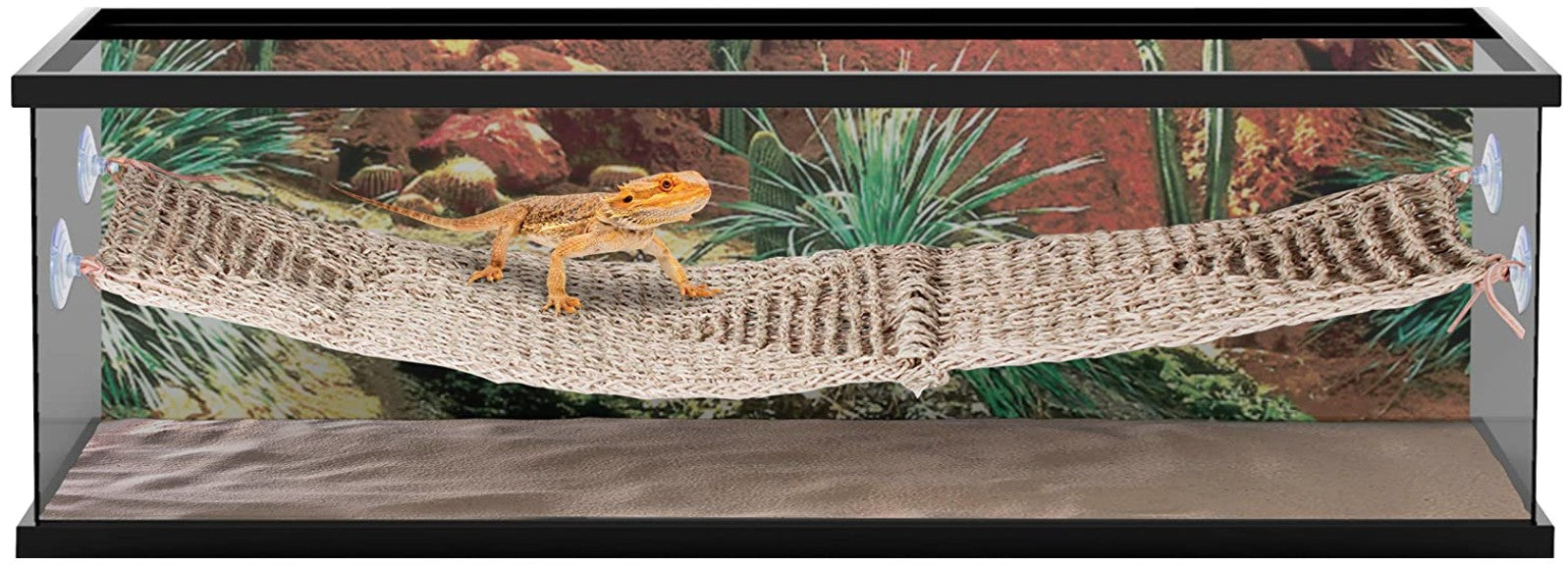 Penn-Plax Reptology Lizard Lounger Bridge – 100% Natural Seagrass Fiber – Great For Bearded Dragons, Anoles, Geckos, And Other Reptiles – Extra-Extra Large