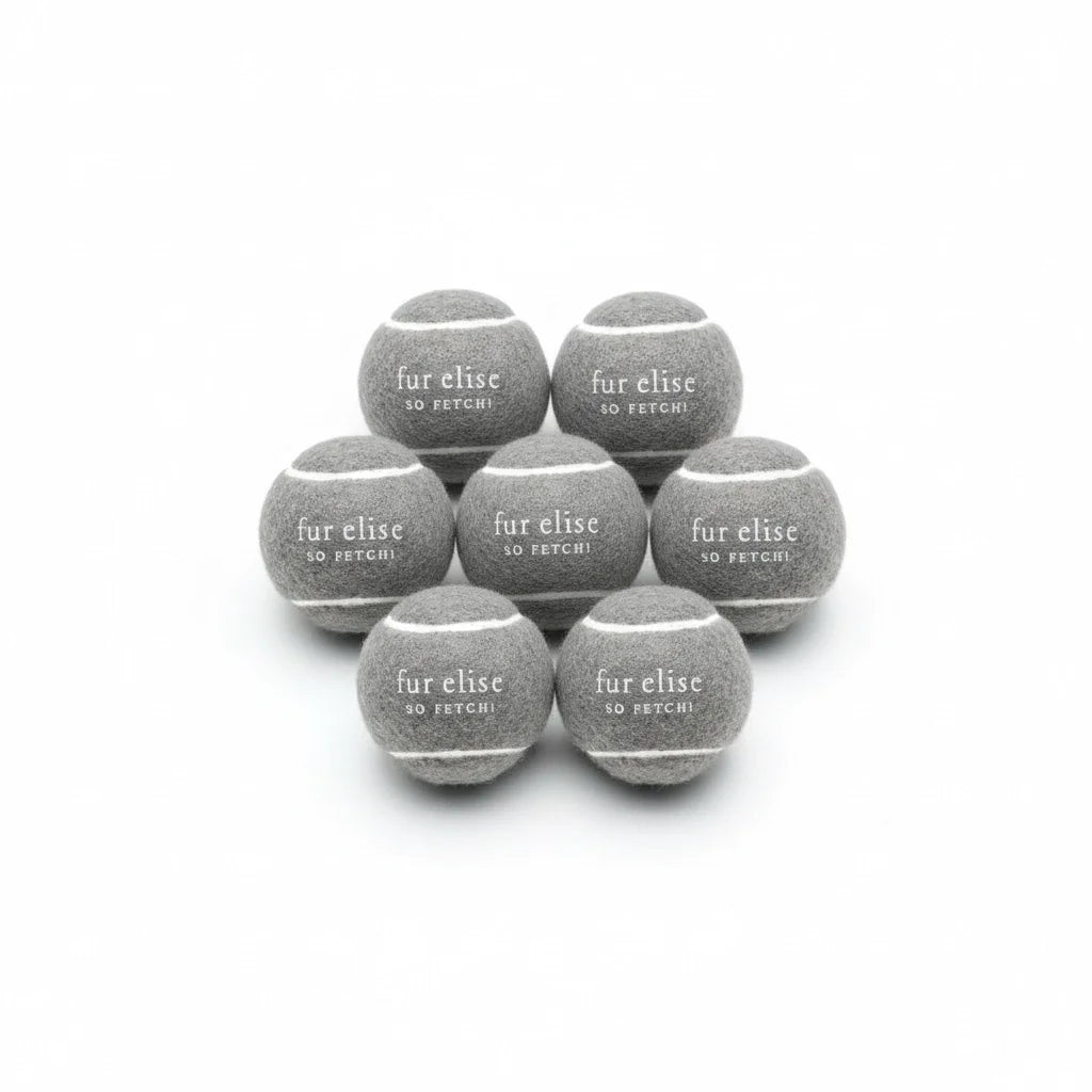So Fetch! Tennis Ball Pack of 7 - Steel