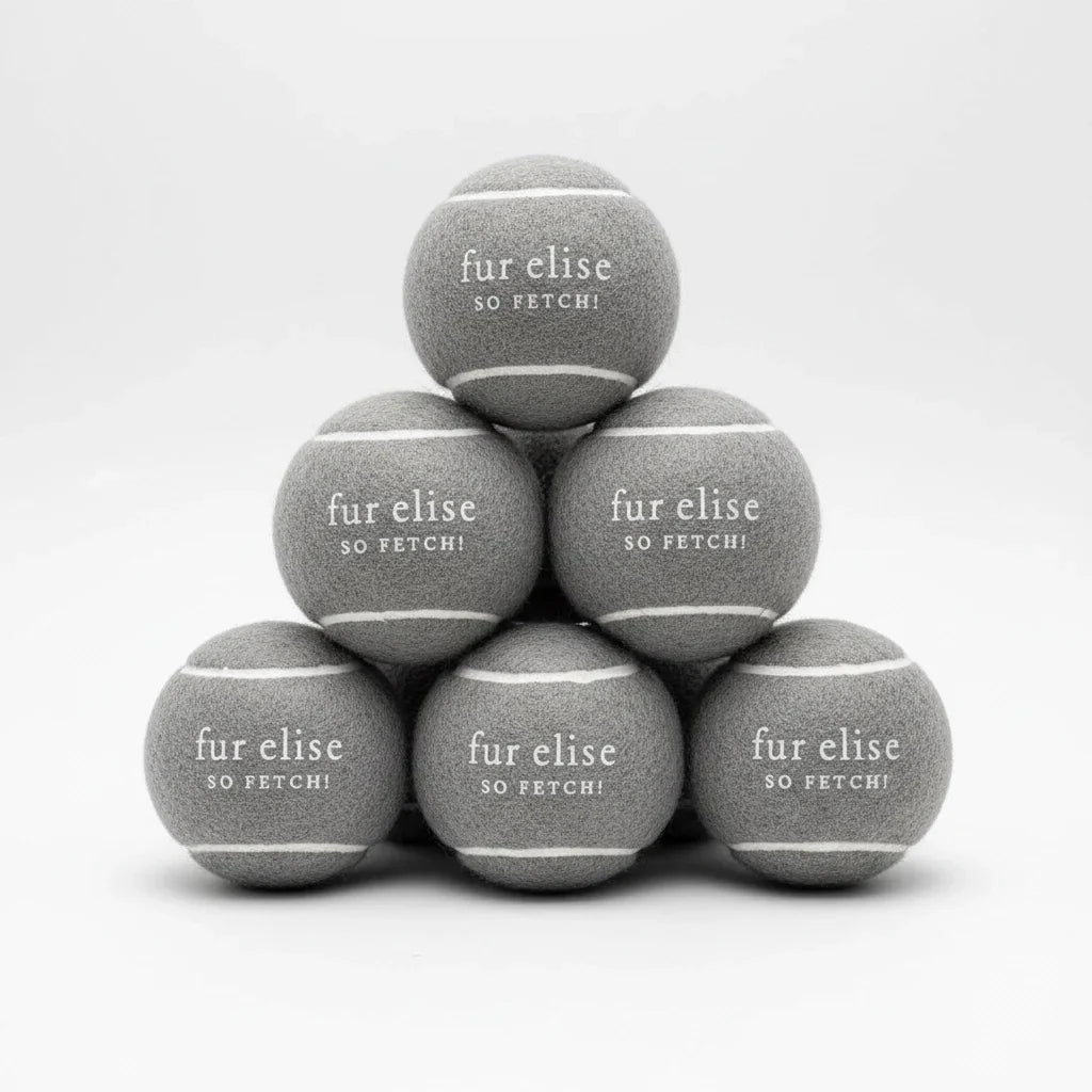 So Fetch! Tennis Ball Pack of 7 - Steel