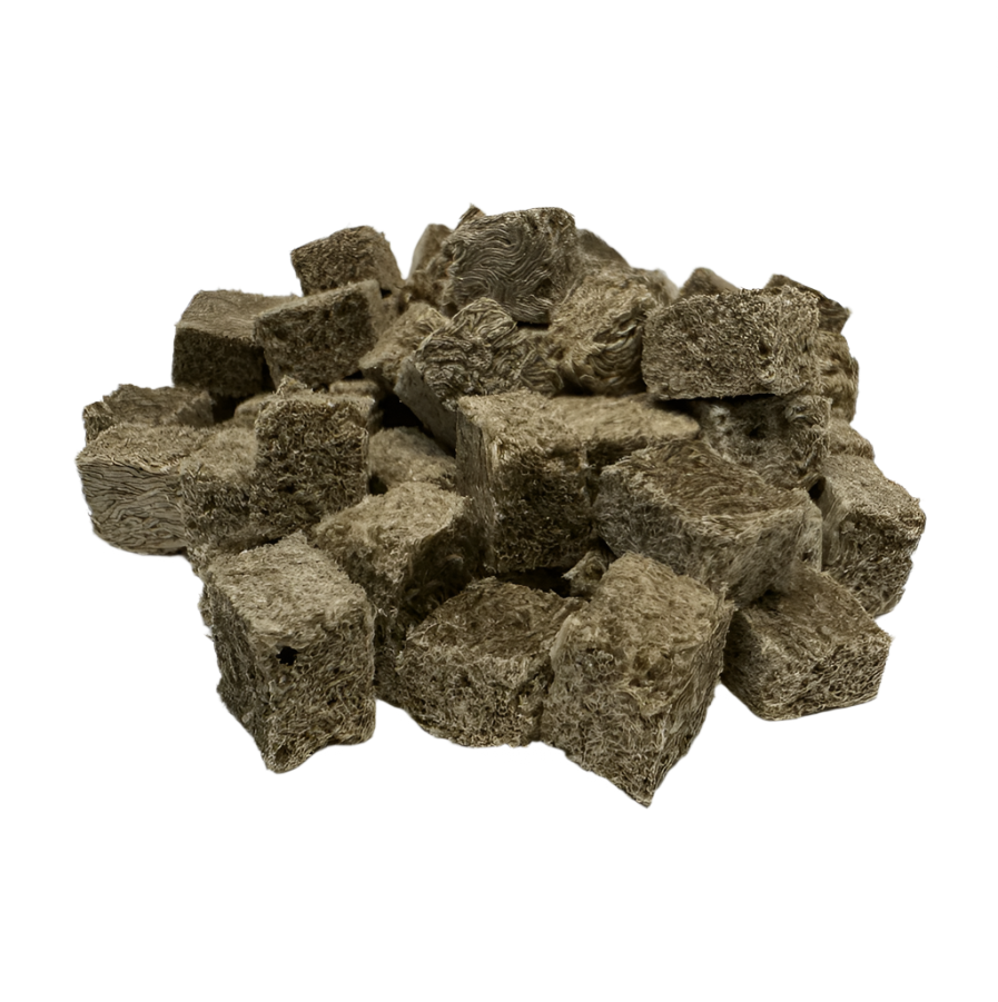 Premium Freeze Dried Blackworms - All Natural