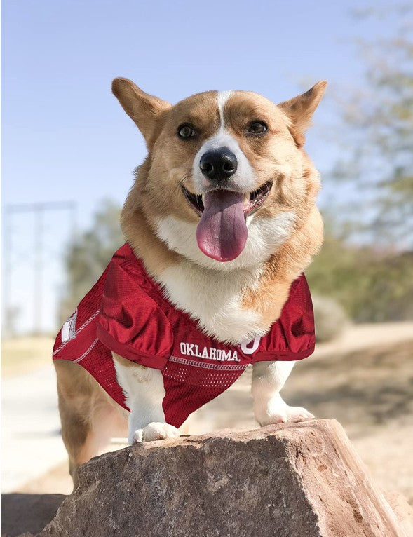 Pets First Oklahoma Mesh Jersey for Dogs