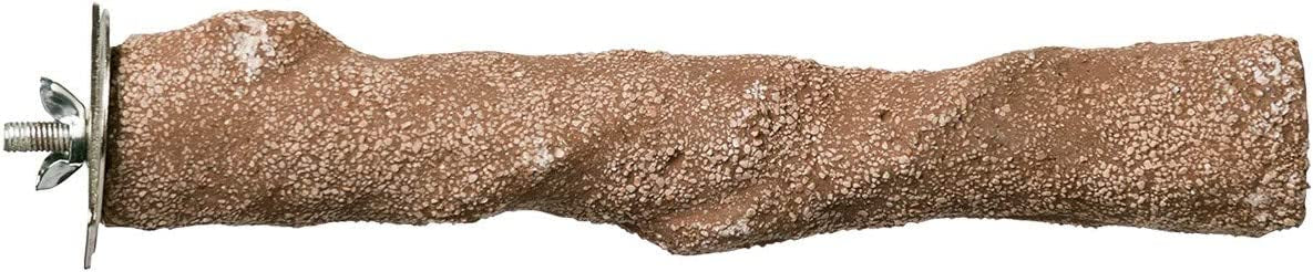 Prevue Pet Products Pacific Perch Beach Branch Small 1010