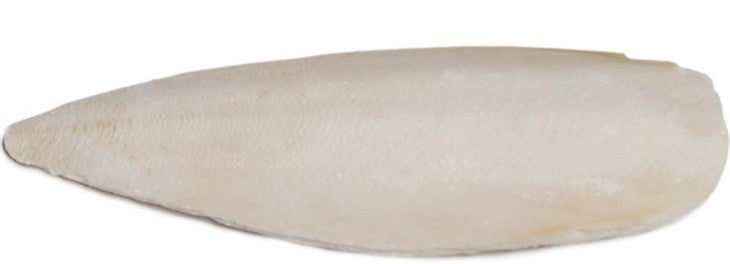 Prevue Cuttlebone Birdie Basics Small 4 Long