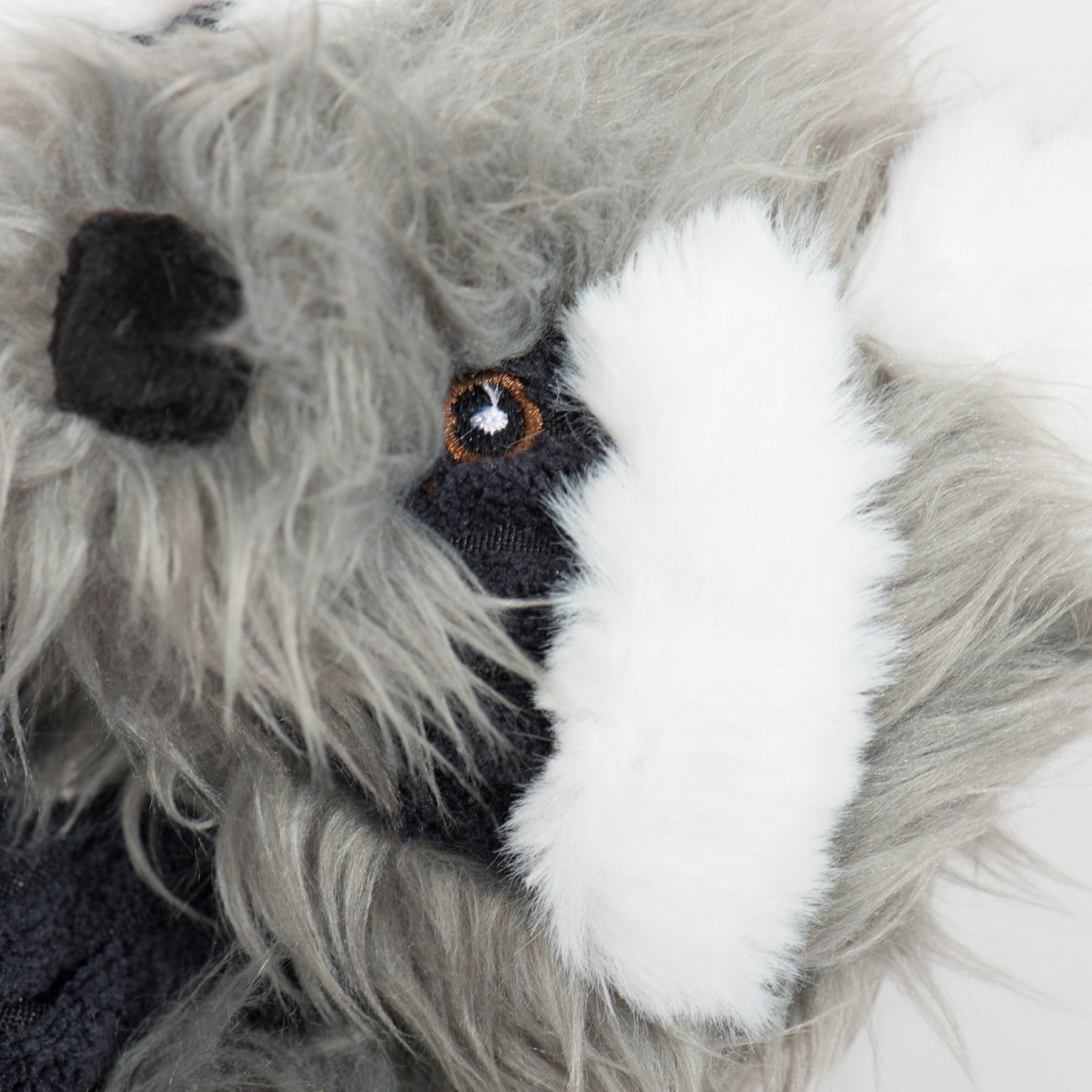 Redwood Raccoon X-Brace® Plush Dog Toy