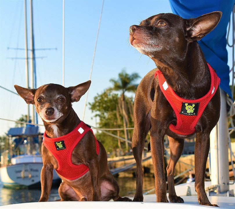 EcoBark Step In Dog Harness - Teacup & Small Breeds- Reflective Soft Mesh Harness for Teacup, Small Dogs and Puppies / Red