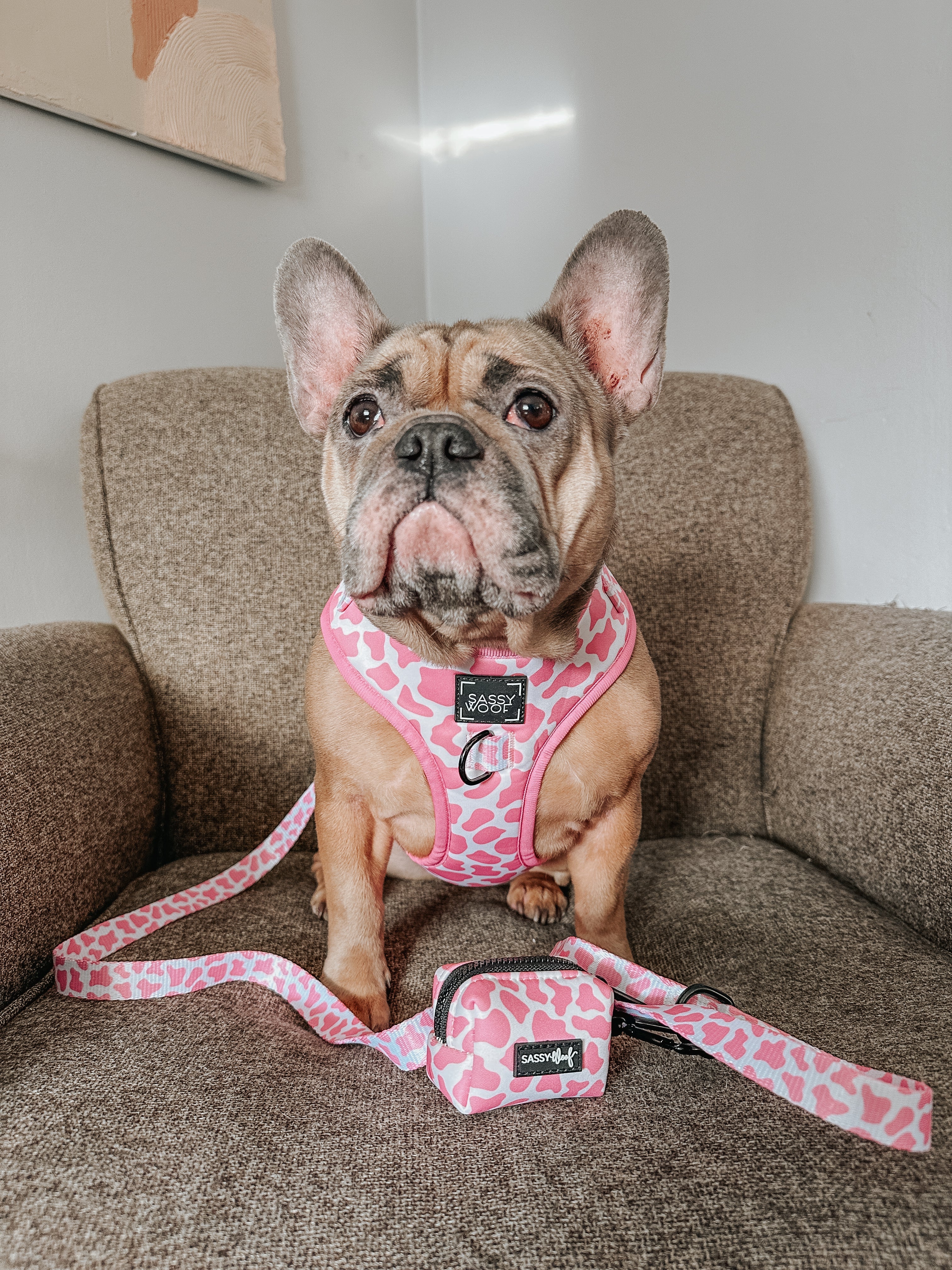 Dog Leash - Strawberry Milk