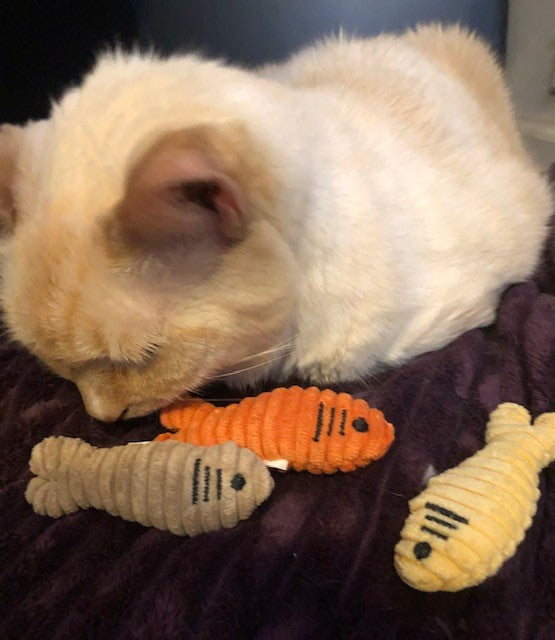 HuggleKats® Sardinies Cat Toys, 3 Pack