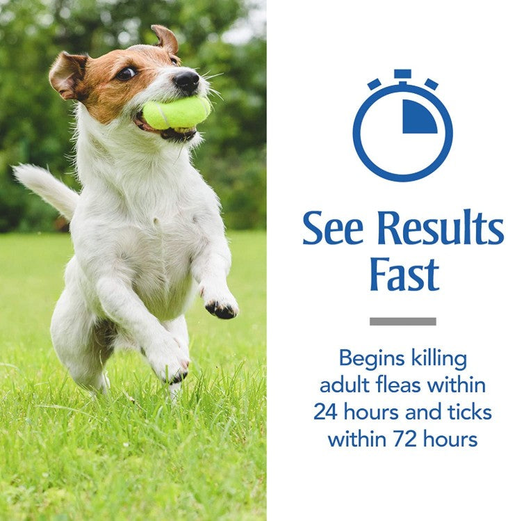 Petarmor Plus Flea And Tick Shampoo For Dogs, Oatmeal Flea Shampoo Kills Fleas, Ticks, And More, Tropical Breeze Scent, 18Oz