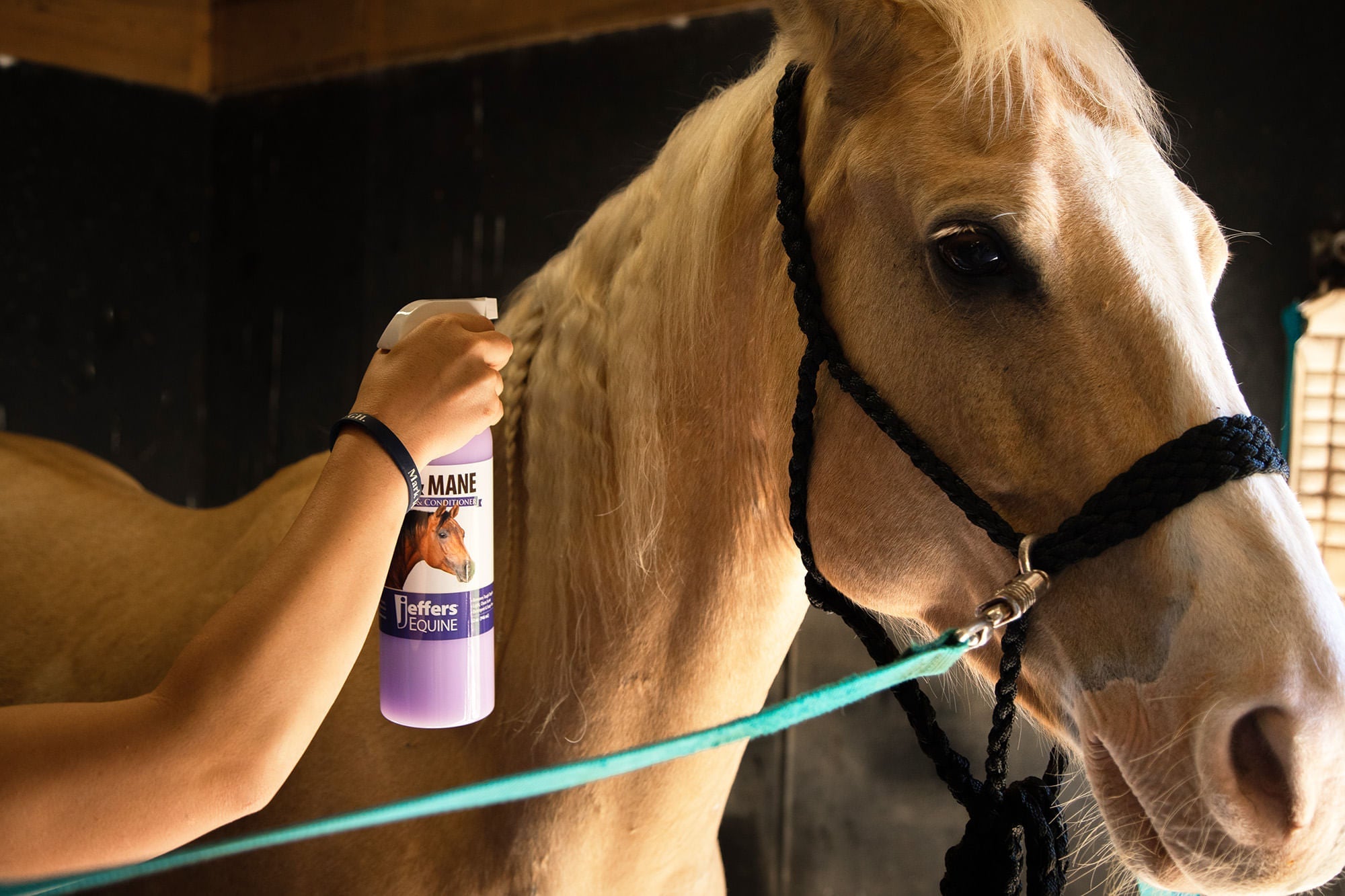 Jeffers Equine Tail & Mane Detangler and Conditioner Spray for Horses