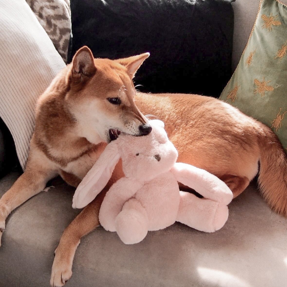 Ruby Plushie Set
