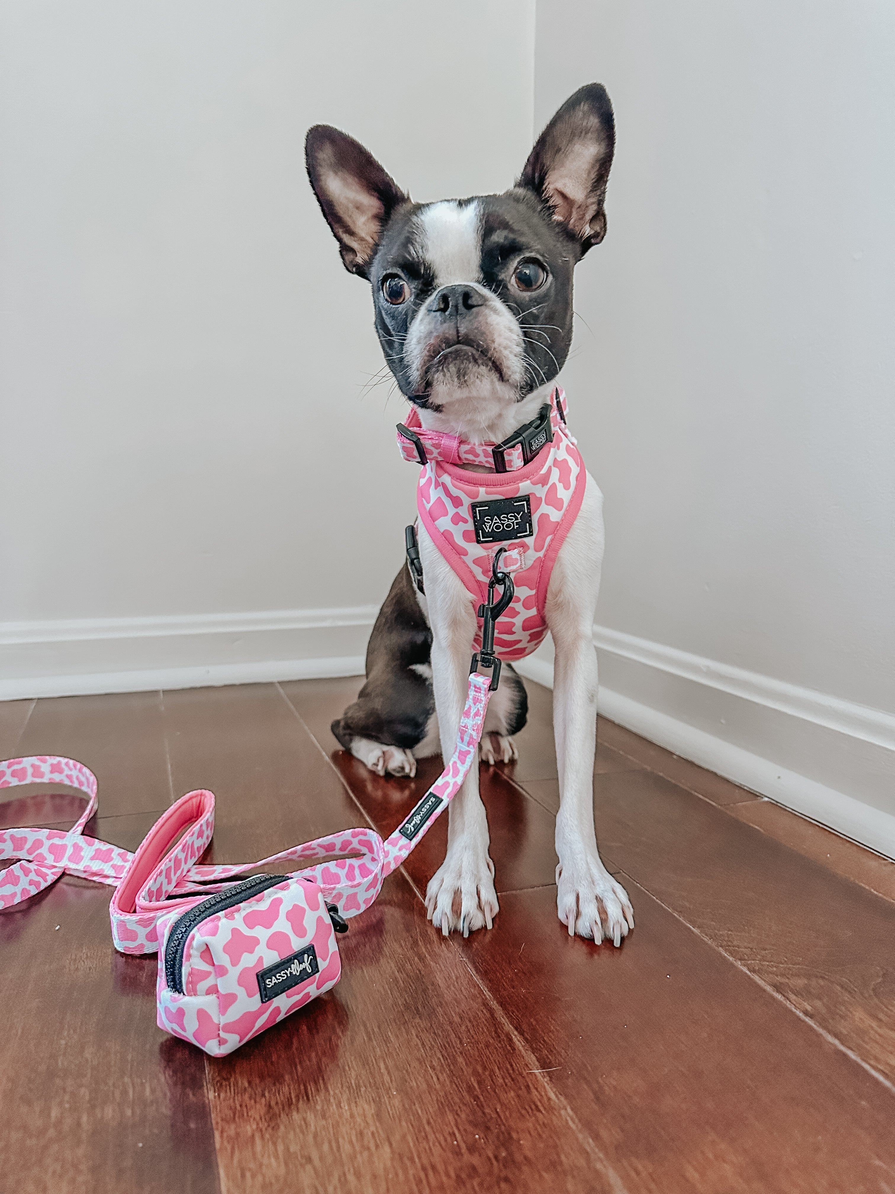 Dog Leash - Strawberry Milk