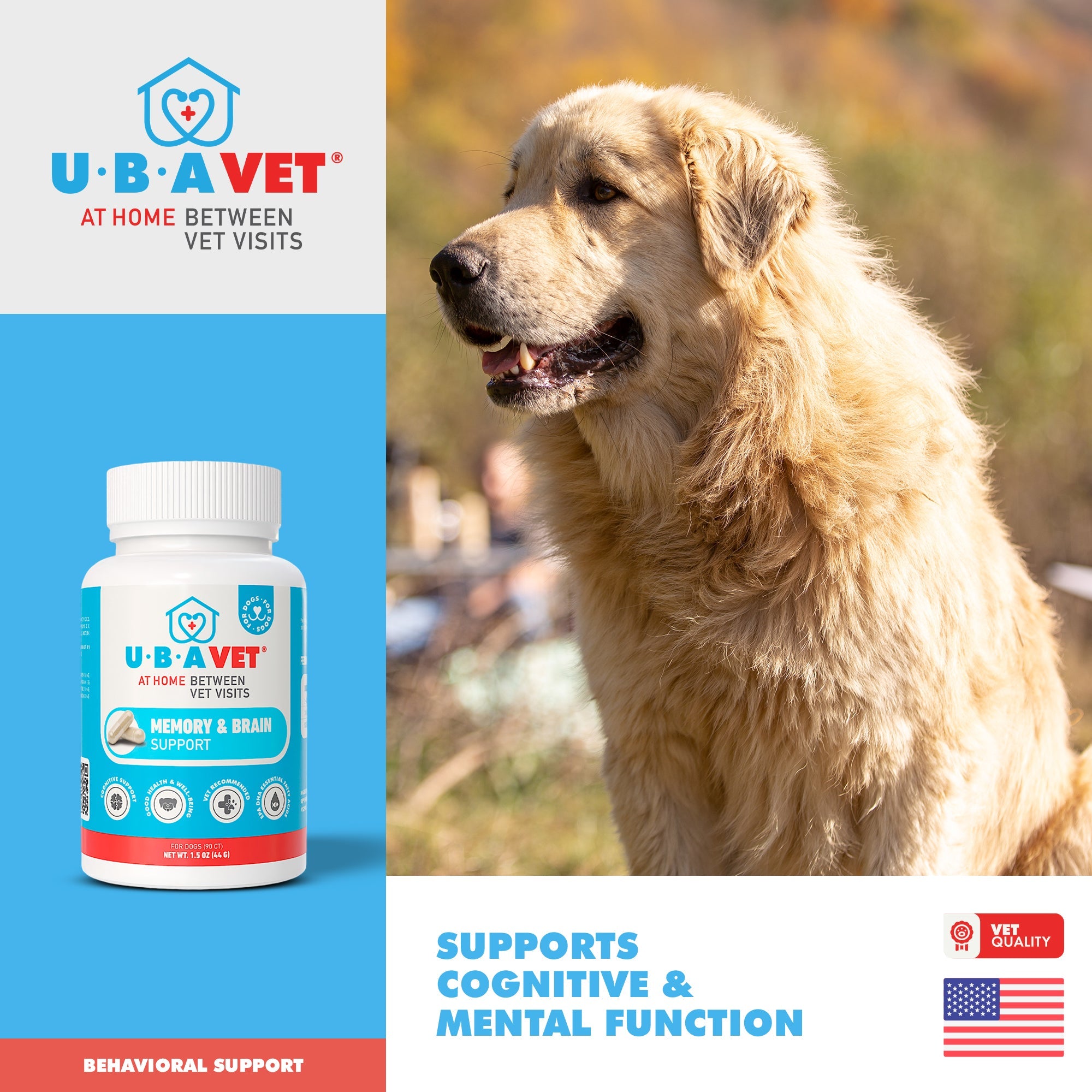UBAVET Memory & Brain Support for Senior Dogs, 90 Capsules