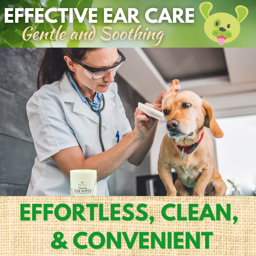 Natural Dog Ear Finger Wipes | EcoBark Coconut Cleansing Ear Wipes for dogs (50 Count)