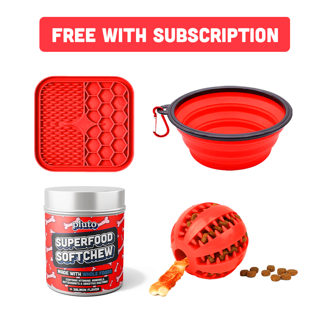 Superfood Softchew Jar