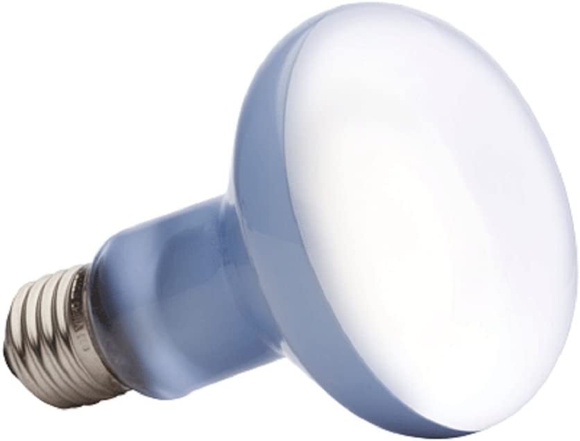 Exo Terra Daylight Basking Spot Lamp, 75W