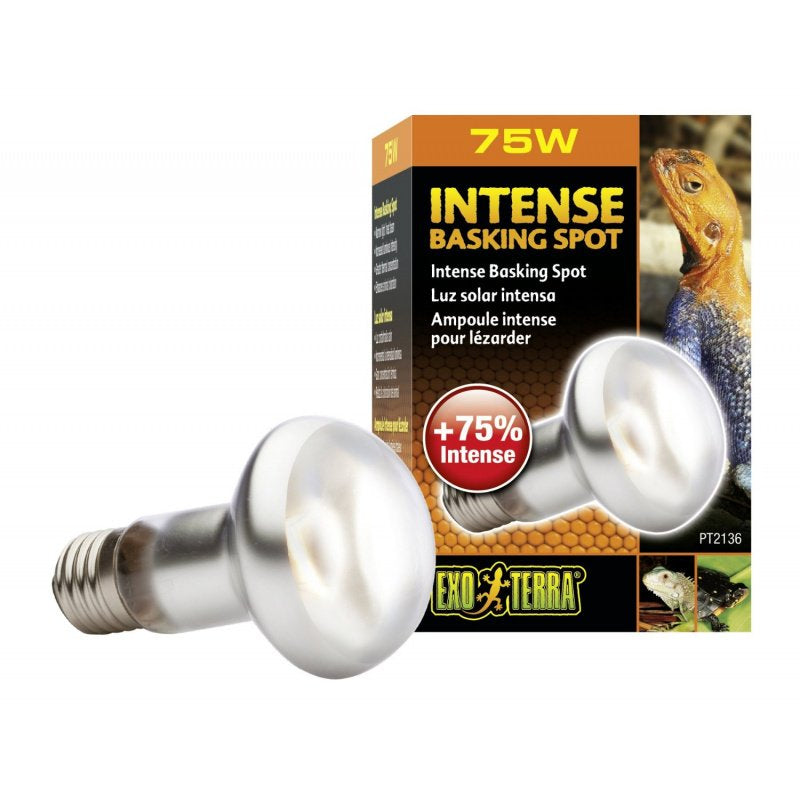 Exo Terra Sun-Glo Basking Infrared Spot Lamp, 75-Watt/120-Volt (4 Pack)