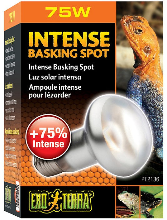 Exo Terra Sun-Glo Basking Infrared Spot Lamp, 75-Watt/120-Volt (4 Pack)