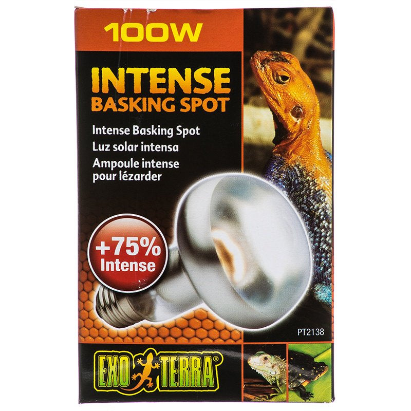 Exo Terra Sun-Glo Basking Infrared Spot Lamp - 100W, Red Glass, 4 Pack, White