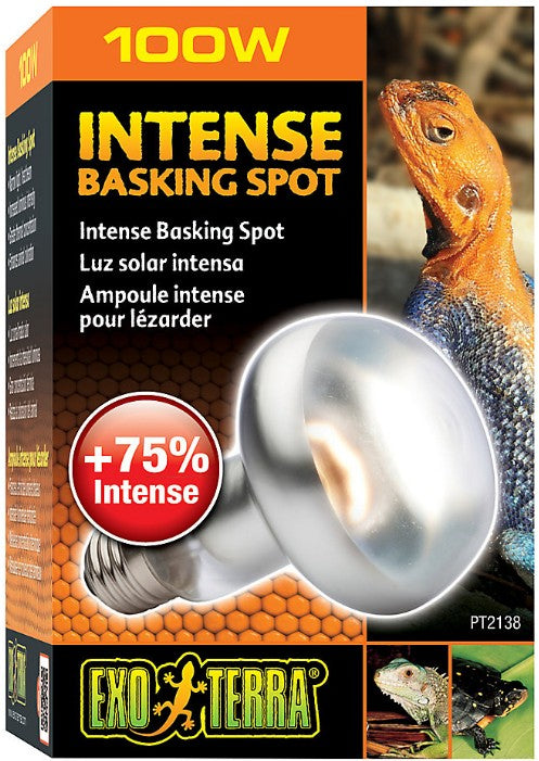 Exo Terra Sun-Glo Basking Infrared Spot Lamp - 100W, Red Glass, 4 Pack, White
