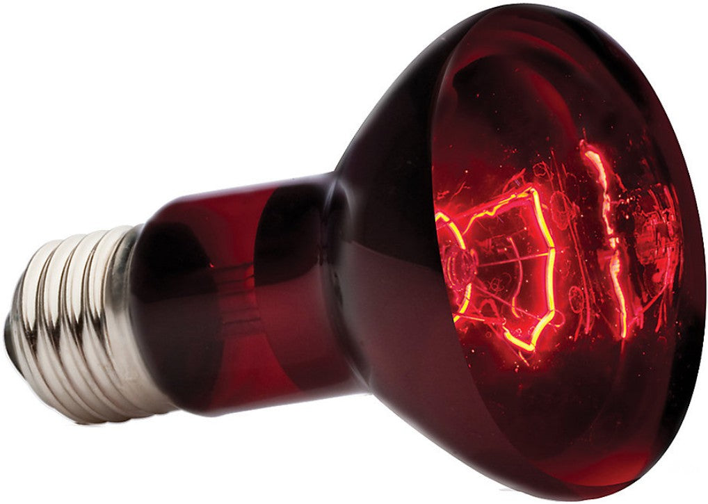 Exo Terra Heat Glo Infrared Heat Lamp