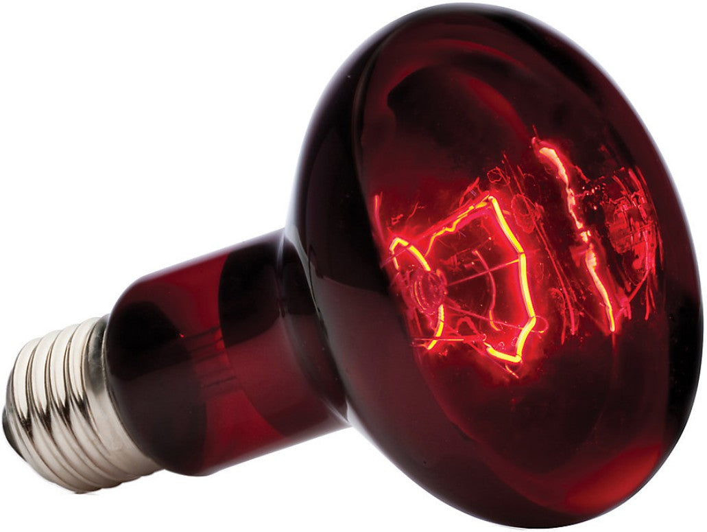 Exo Terra Heat-Glo Infrared Spot Lamp, 100-Watt/120-Volt (4 Pack)